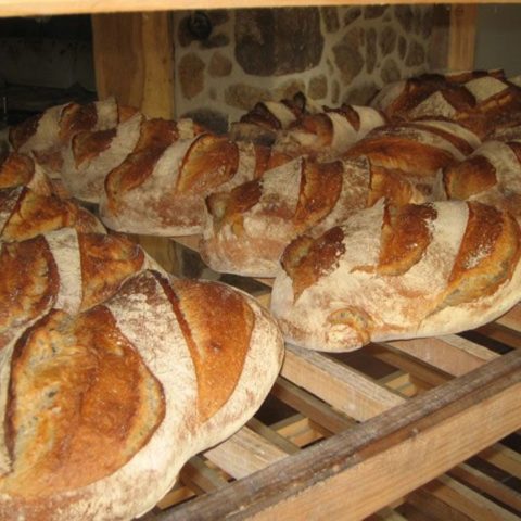 Ferme-des-Blés-d'Or-delicesdu42-pain-Verannes-Loire-42